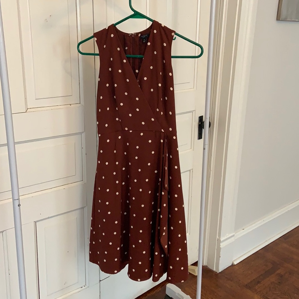 Ann Taylor Polka Dot Dress